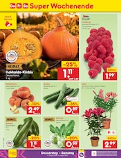Zucchini Angebote im Prospekt "Aktuelle Angebote" von Netto Marken-Discount Zucchini Angebote im Prospekt "Aktuelle Angebote" von Netto Marken-Discount auf Seite 48