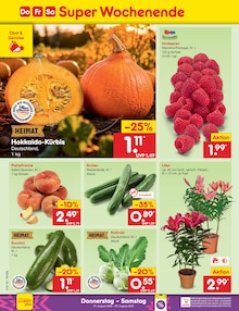Herren Unterhose Angebot im Netto Marken-Discount Prospekt, gültig von 24.08.2026 bis 29.08.2026 Herren Unterhose Angebot im aktuellen Netto Marken-Discount Prospekt auf Seite 48