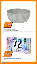 Action Blumentopf im Prospekt 