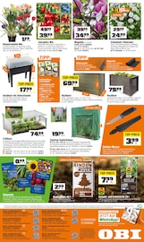 Messer im OBI Prospekt in Fulda Aktueller OBI Prospekt mit Messer, "BIBERSTARKE ANGEBOTE", Seite 8