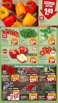 Tomaten im REWE Prospekt "Dein Markt" mit 18 Seiten (Bremen)