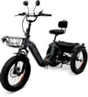 E-Bike Dreirad R100 20" Angebote von Remington bei Netto Marken-Discount Eberswalde für 2.099,00 €