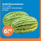 Große Wassermelonen im aktuellen V-Markt Prospekt für 6,99 €