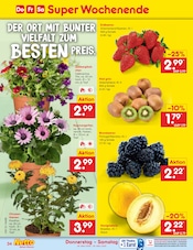 Aktueller Netto Marken-Discount Prospekt mit Erdbeeren, "Aktuelle Angebote", Seite 42