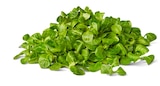 Bio-Feldsalat von Naturgut für 1,69 € bei Penny im Angebot Bio-Feldsalat von Naturgut im aktuellen Penny Prospekt