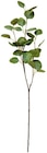 Dekorative Zweige 60 cm Angebote bei Rusta Dessau-Roßlau für 0,99 €