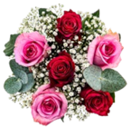 Kaufland Neubrandenburg - Rosen-Eukalyptusstrauß Angebot im Prospekt Rosen-Eukalyptusstrauß bei Kaufland im Neubrandenburg Prospekt für 7,99 €