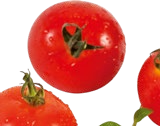 Bio-Bonbon-Tomate "Anabelle" oder Bio-Babygurke oder Bio-Zuckerpaprika, orange von Floralie & Flo für 1,99 € bei Hornbach im Angebot Bio-Bonbon-Tomate "Anabelle" oder Bio-Babygurke oder Bio-Zuckerpaprika, orange von Floralie & Flo im aktuellen Hornbach Prospekt