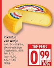 Pikantje van Antje im aktuellen EDEKA Prospekt