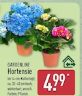 Hortensie Angebote von Gardenline bei ALDI Nord Recklinghausen für 4,99 €