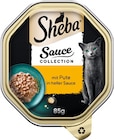 Katzenahrung Angebote von Sheba bei Rossmann Nürtingen für 0,50 €