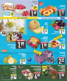 EDEKA Abensberg Prospekt der aktuellen Woche, gültig von 17.08.2026 bis 22.08.2026 Aktueller EDEKA Abensberg Prospekt "Wir lieben Lebensmittel." mit 26 Seiten