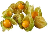 Physalis für 1,19 € bei REWE im Angebot Physalis im aktuellen REWE Prospekt
