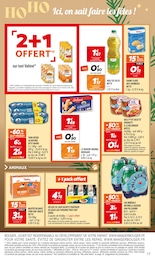 Offre Alimentation Chat dans le catalogue Netto du moment à la page 17
