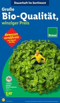 Pflanzen im aktuellen Lidl Prospekt (Krefeld) Pflanzen im Lidl Prospekt "LIDL LOHNT SICH" mit 62 Seiten (Krefeld)