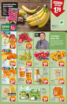 Ente im REWE Prospekt "Dein Markt" mit 30 Seiten (Kassel)