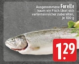 EDEKA Verl - Forelle Angebot im Prospekt Forelle bei EDEKA im Verl Prospekt für 1,29 €