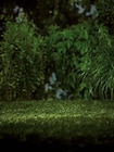 Solar Windspiel Angebote von Living & Garden bei Netto Marken-Discount Rottenburg für 4,99 €
