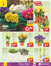 Aktueller Netto Marken-Discount Prospekt mit Garten, "Aktuelle Angebote", Seite 22