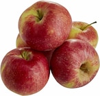 Unsere Heimat Bio Äpfel Santana im Angebot bei EDEKA in Nürtingen Unsere Heimat Bio Äpfel Santana Angebote von Demeter bei EDEKA Nürtingen für 2,49 €