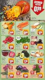 Kürbis im REWE Prospekt in Leipzig Aktueller REWE Prospekt mit Kürbis, "Dein Markt", Seite 9