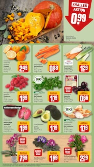 Orchidee im aktuellen REWE Prospekt (Leipzig) Orchidee im REWE Prospekt "Dein Markt" mit 24 Seiten (Leipzig)