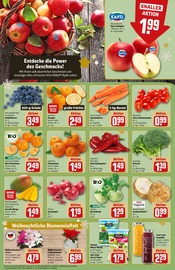 Ähnliche Blumenzwiebeln Angebote im Prospekt "Dein Markt" von REWE in Lahr Ähnliche Angebote wie Blumenzwiebeln im Prospekt "Dein Markt" auf Seite 10 von REWE in Lahr