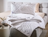 Bettdecke im XXXLutz Prospekt Ganzjahresbett „Pasco“ von Sleeptex im aktuellen XXXLutz Prospekt für 69,99 €