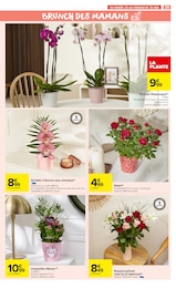 Orchidée Angebote im Prospekt "LE MOIS" von Carrefour Market Orchidée Angebote im Prospekt "LE MOIS" von Carrefour Market auf Seite 33