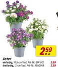 Angebot im toom Baumarkt Sinzig Prospekt toom Baumarkt Sinzig Prospekt mit im Angebot für 2,59 €