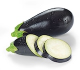 Aubergine im REWE Prospekt Aubergine von REWE Regional im aktuellen REWE Prospekt für 0,95 €