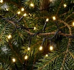 LED-OUTDOOR-LICHTERKETTE im Angebot bei Möbel Wallach in Peine LED-OUTDOOR-LICHTERKETTE Angebote bei Möbel Wallach Peine für 9,95 €