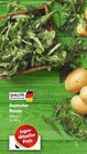 Rucola Angebot im Lidl Prospekt Rucola im Lidl Prospekt zum Preis von