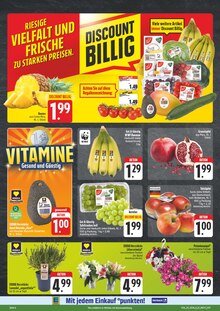 Pflanzen im aktuellen EDEKA Prospekt (Erlangen) Pflanzen im EDEKA Prospekt "Wir lieben Lebensmittel!" mit 28 Seiten (Erlangen)