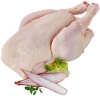Frisches ganzes Hähnchen Angebote von FairMast bei REWE Meerbusch für 0,79 €