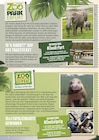 Tagesticket Zoo Park Erfurt Angebote von Zoo Park Erfurt bei Marktkauf Erlangen