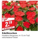 Edellieschen bei bauSpezi im Prospekt "" für 2,19 €