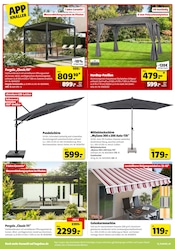Aktueller Hagebaumarkt Prospekt mit Gartenpavillon, "Pflanze mit uns Blütenfreude", Seite 12