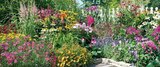 Sommerstauden 'Bienenweide' 17 cm Topf Angebote bei Globus-Baumarkt Göttingen für 6,99 €