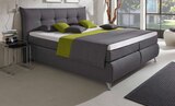 Boxspringbett Angebote von CarryHome bei XXXLutz Möbelhäuser Rheine für 1.199,00 €