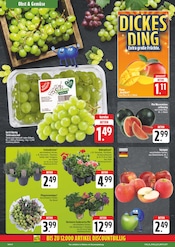 Salbei im EDEKA Prospekt in Gera Aktueller EDEKA Prospekt mit Salbei, "Wir lieben Lebensmittel!", Seite 8