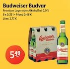 Premium Lager im Angebot bei Getränke Hoffmann in Siegen Premium Lager Angebote von Budweiser Budvar bei Getränke Hoffmann Siegen für 5,49 €