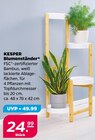 Blumenständer von KESPER im aktuellen Netto mit dem Scottie Prospekt