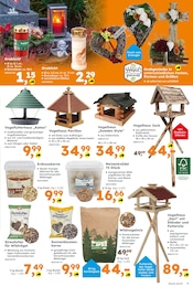 Globus-Baumarkt Grabgesteck im Prospekt Globus-Baumarkt Grabgesteck im Prospekt