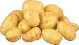 Aktuelles Deutschland Speisekartoffeln Angebot bei E center in Münster ab 1,59 €