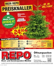 Aktueller Repo Prospekt mit Christbaum, "Aktuelle Angebote", Seite 12