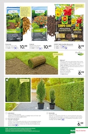 Aktueller BayWa Bau- und Gartenmärkte Prospekt mit Pflanzen, "Hier bin ich gern", Seite 23