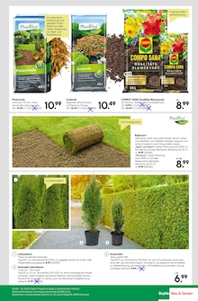 Pflanzen im BayWa Bau- und Gartenmärkte Prospekt "Hier bin ich gern" mit 24 Seiten (Würzburg)