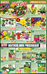 Norma Primel im Prospekt 