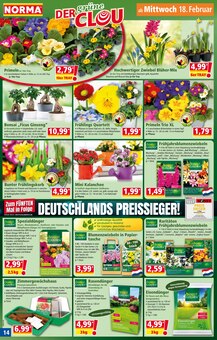 Teppichboden im Norma Prospekt "Mehr fürs Geld" mit 20 Seiten (Ingolstadt)